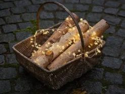 LED-Lichterkette Trille Cluster