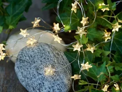 LED-Lichterkette Trille Star