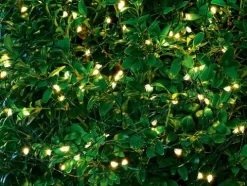 LED-Lichterstränge Knirke