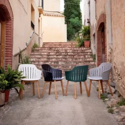 Sessel Choice